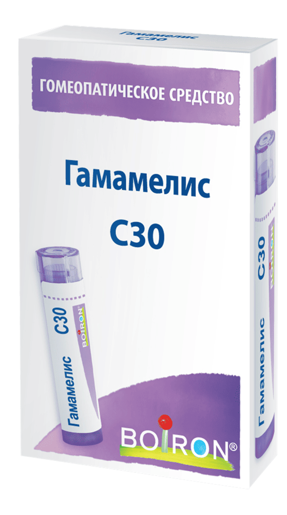 Гамамелис (Hamamelis) C30 Буарон