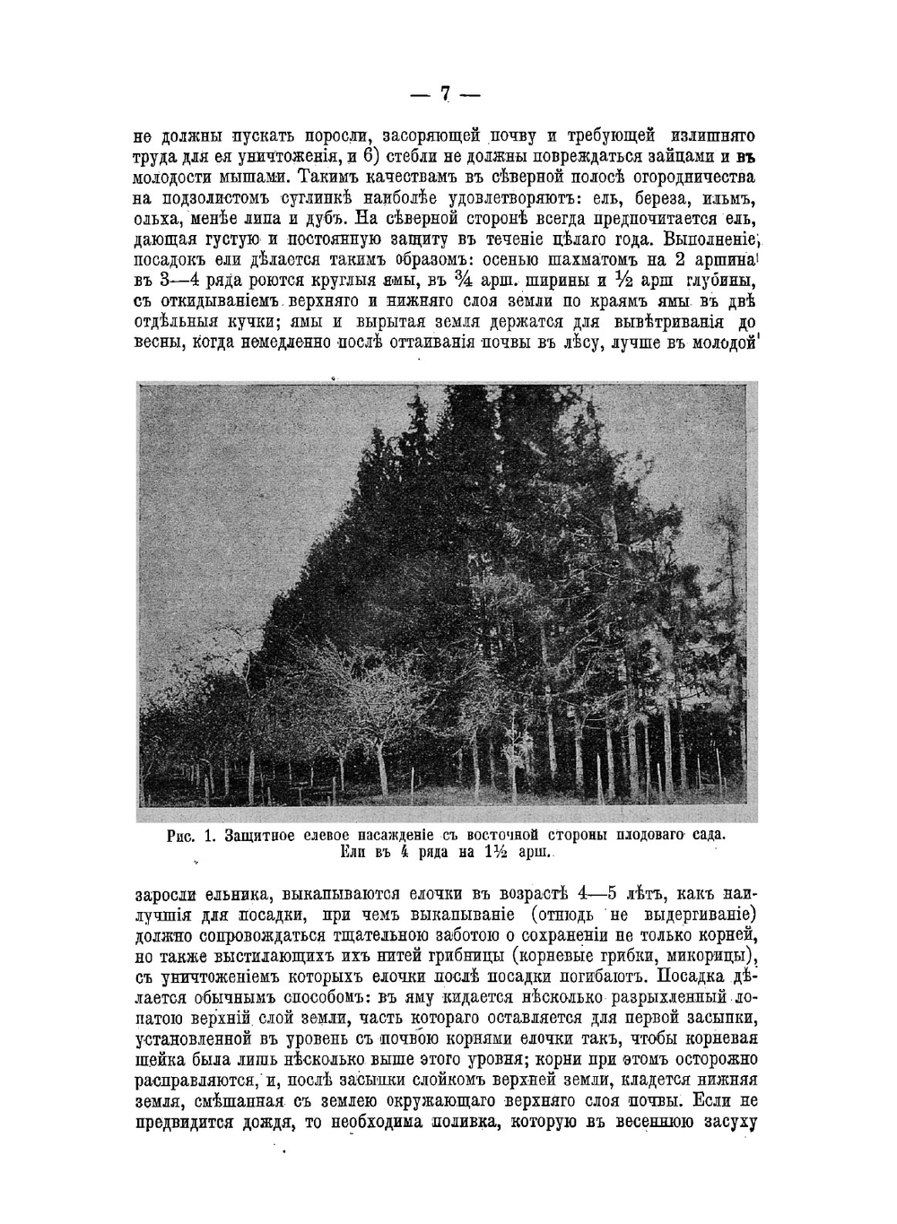Огородничество в защищенном грунте: Культура овощей в парниках, теплицах, на паровых грядах, рассадниках | Рытов Михаил Васильевич