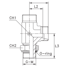 Штуцер FRLG DS10 BSP 3/8 (корпус)