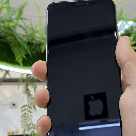 Apple iPhone XS Max 256Gb