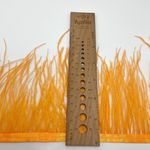 Перья страуса на ленте