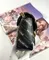 Маленькая сумка Gucci GG Marmont The Hacker Project черный