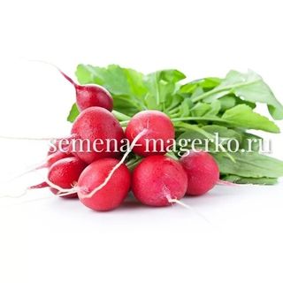 Редис Черриэт F1 (10 000 семян)
