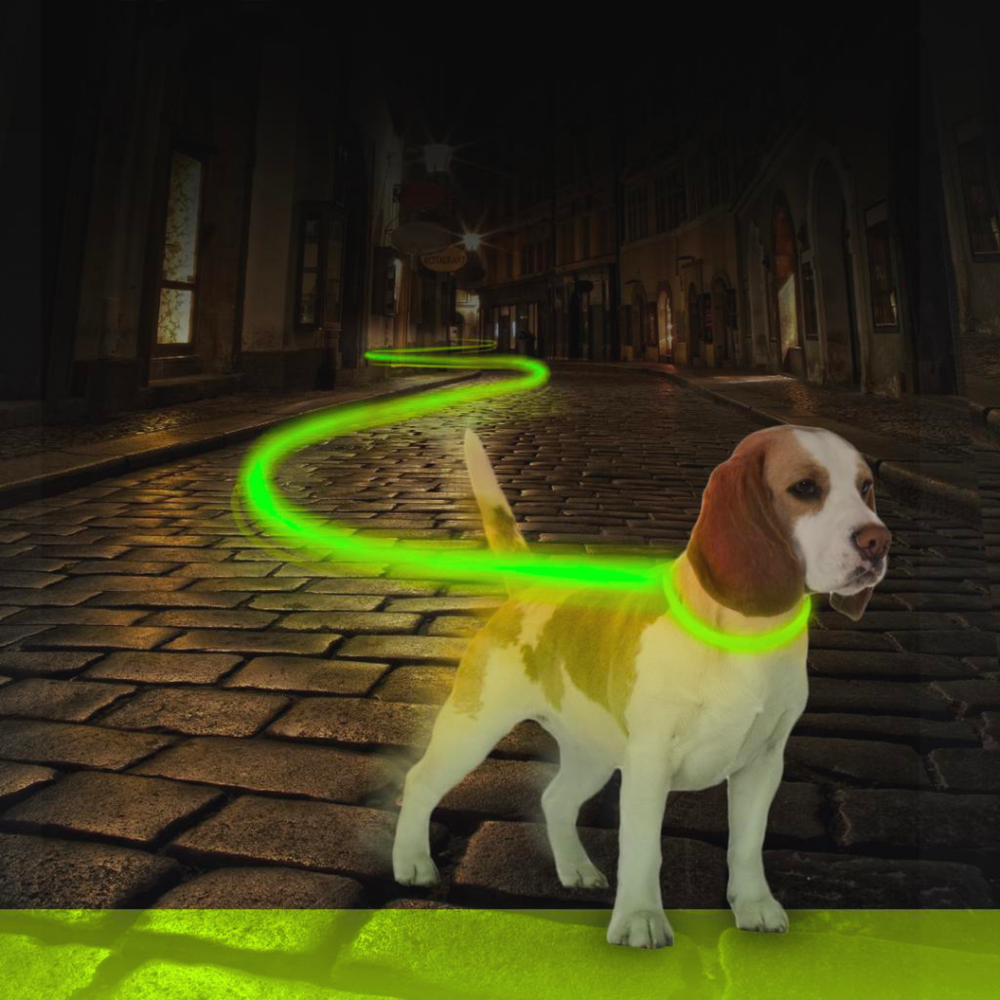 Ошейник для собак светящийся, зеленый DUVO+