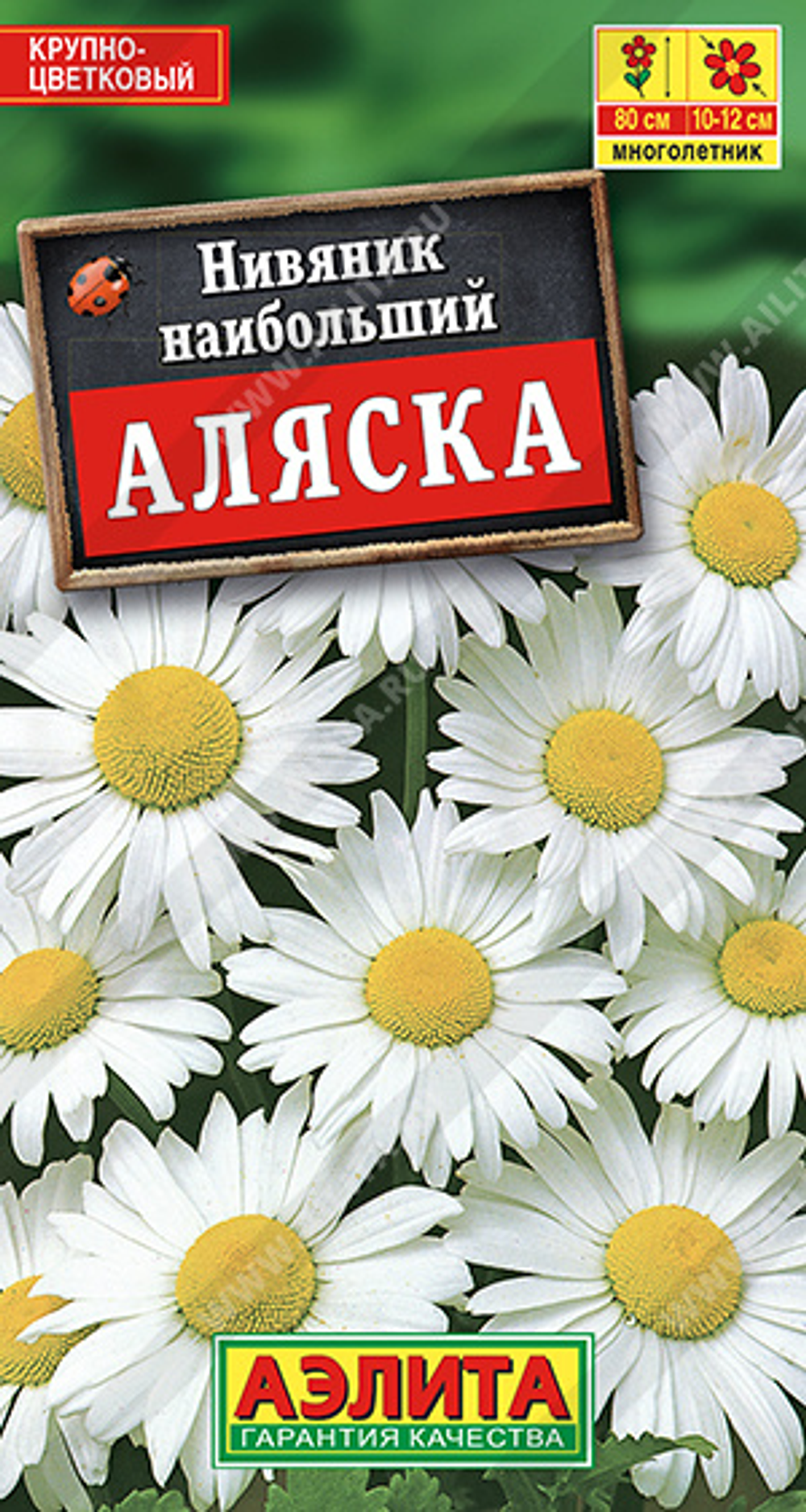 Нивяник наибольший Аляска