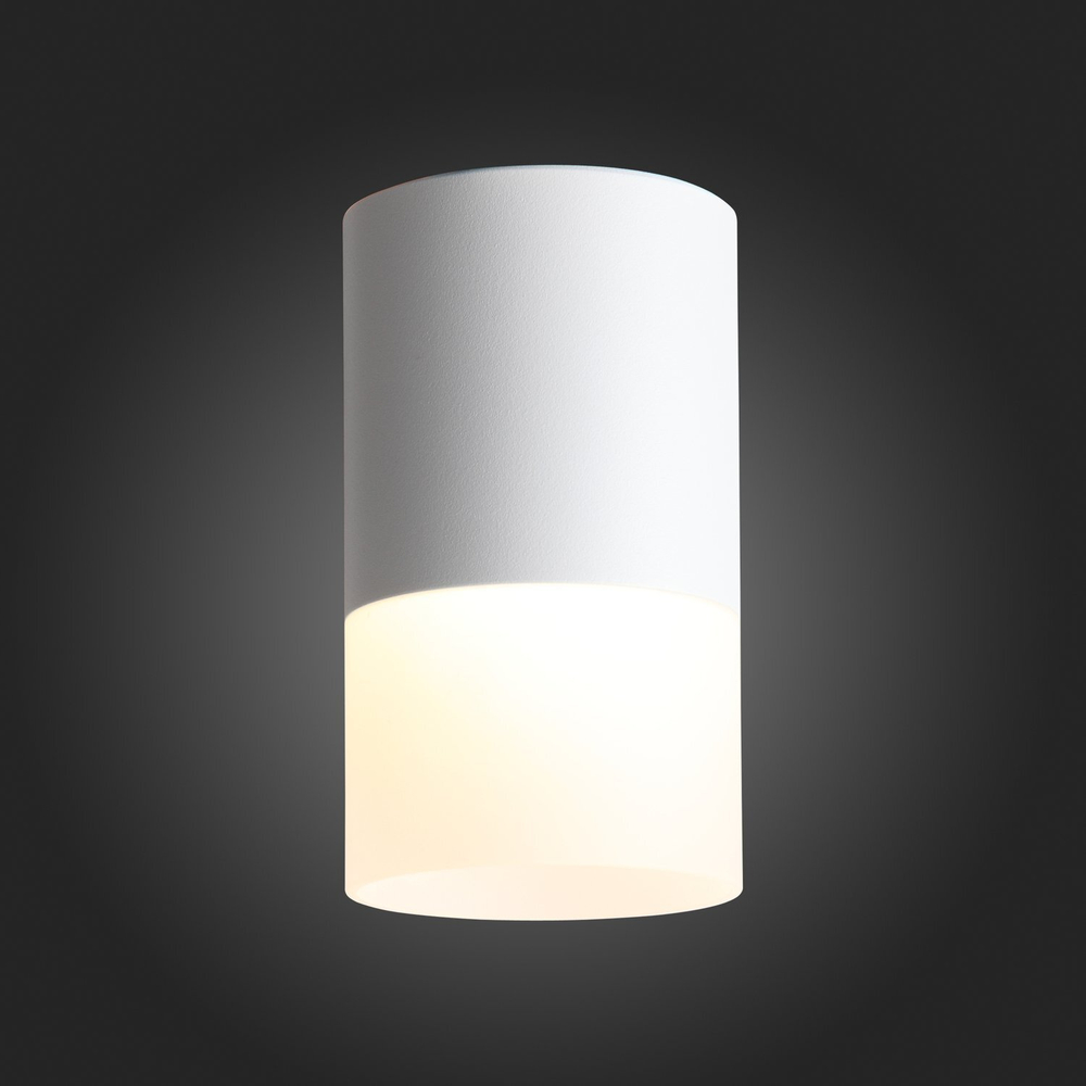 ST100.502.10 Светильник потолочный Белый LED 1*10W 3000K 780Lm Ra&gt;80 120° D78xH135 170-240V Накладные светильники