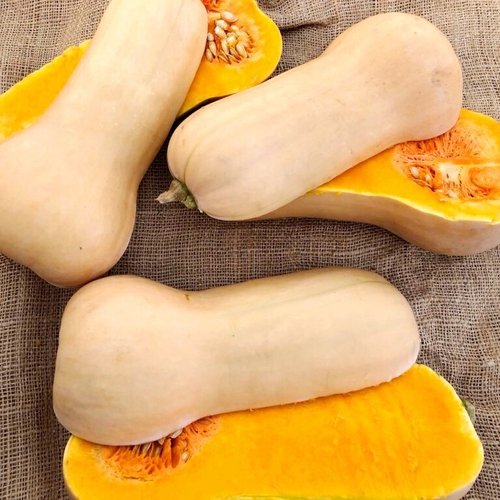 Уолтемская Тыква Баттернат - Waltham Butternut Squash