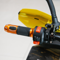 Электроквадроцикл MOTAX GRIZLIK E1500 2024