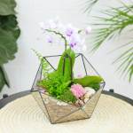 Готовый флорариум с нежной орхидеей Икос S