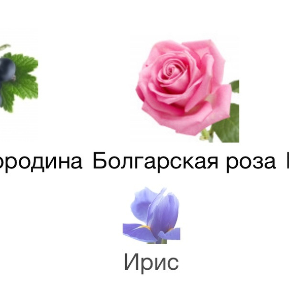 GENYUM Ballerina 5 мл