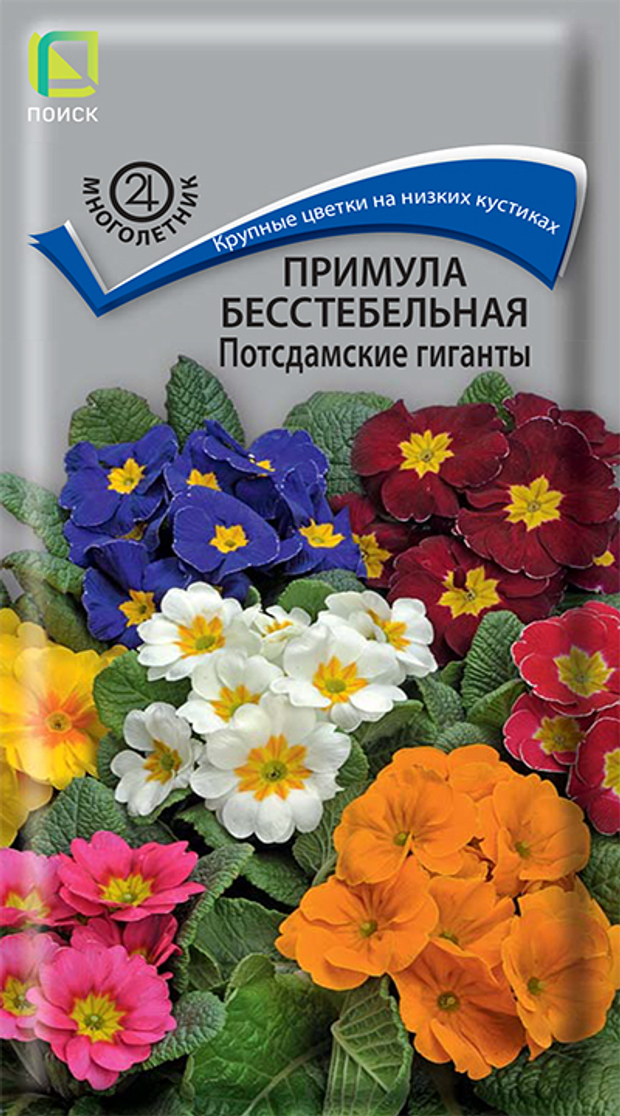 Примула бесстебельная Потсдамские гиганты