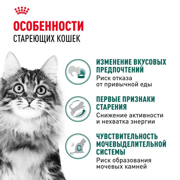 Пауч Royal Canin Instinctive +7 для кошек в возрасте старше 7 лет, мелкие кусочки в соусе