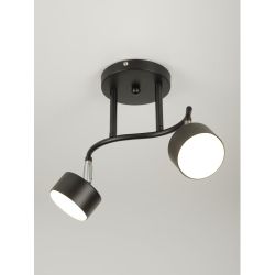 Светильник настенно-потолочный спот Rivoli   7074-702 2хGX53 15 Вт поворотный