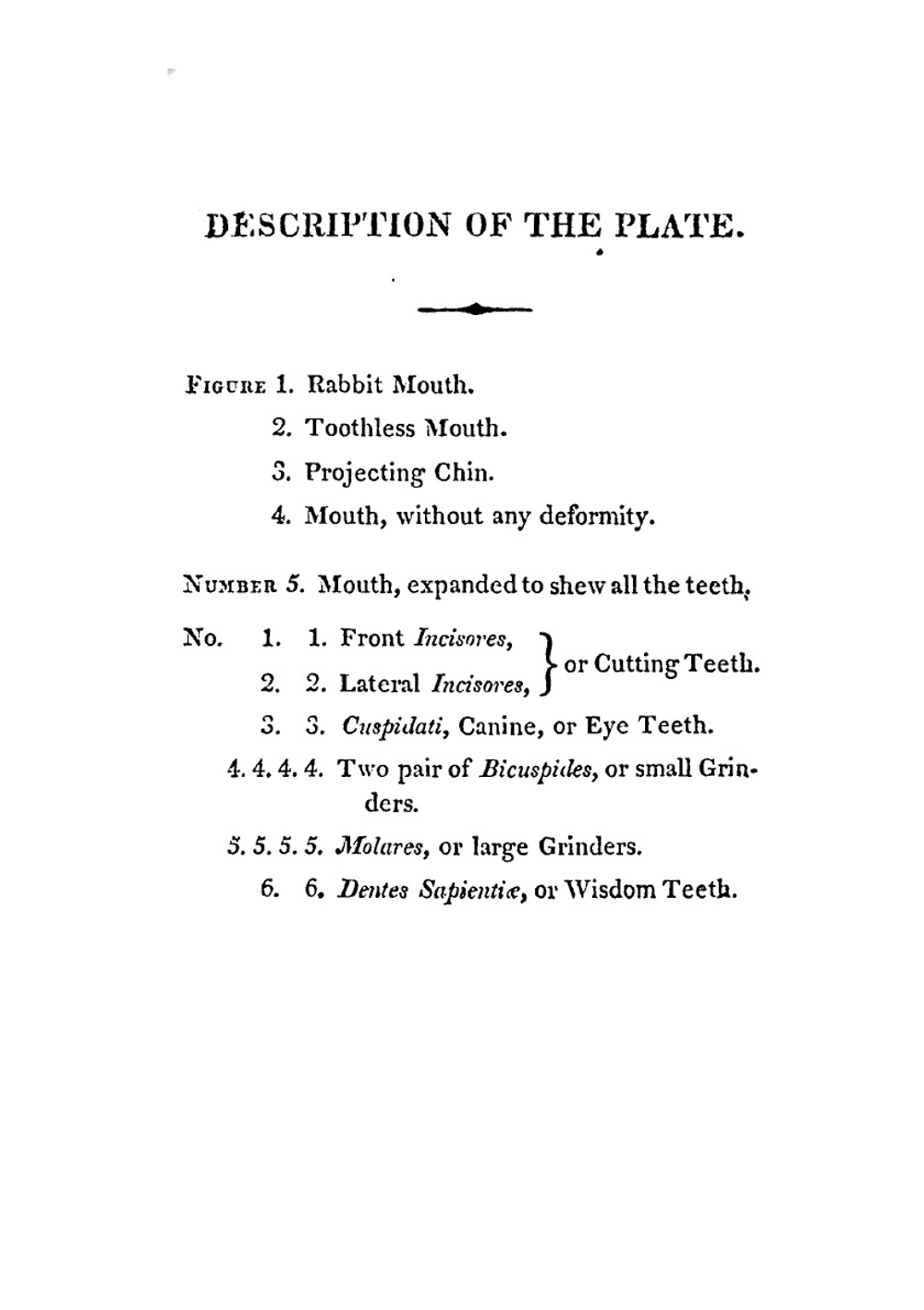 A practical guide to the management of the teeth. comprising a discovery of the origin of caries, or decay of the teeth, with its prevention and cure | L.S. Parmly