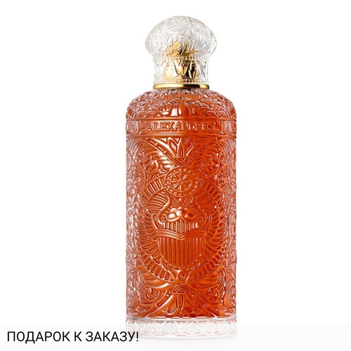 Alexandre J Black Beetle