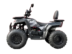 Квадроцикл GBM Cross Hill 300