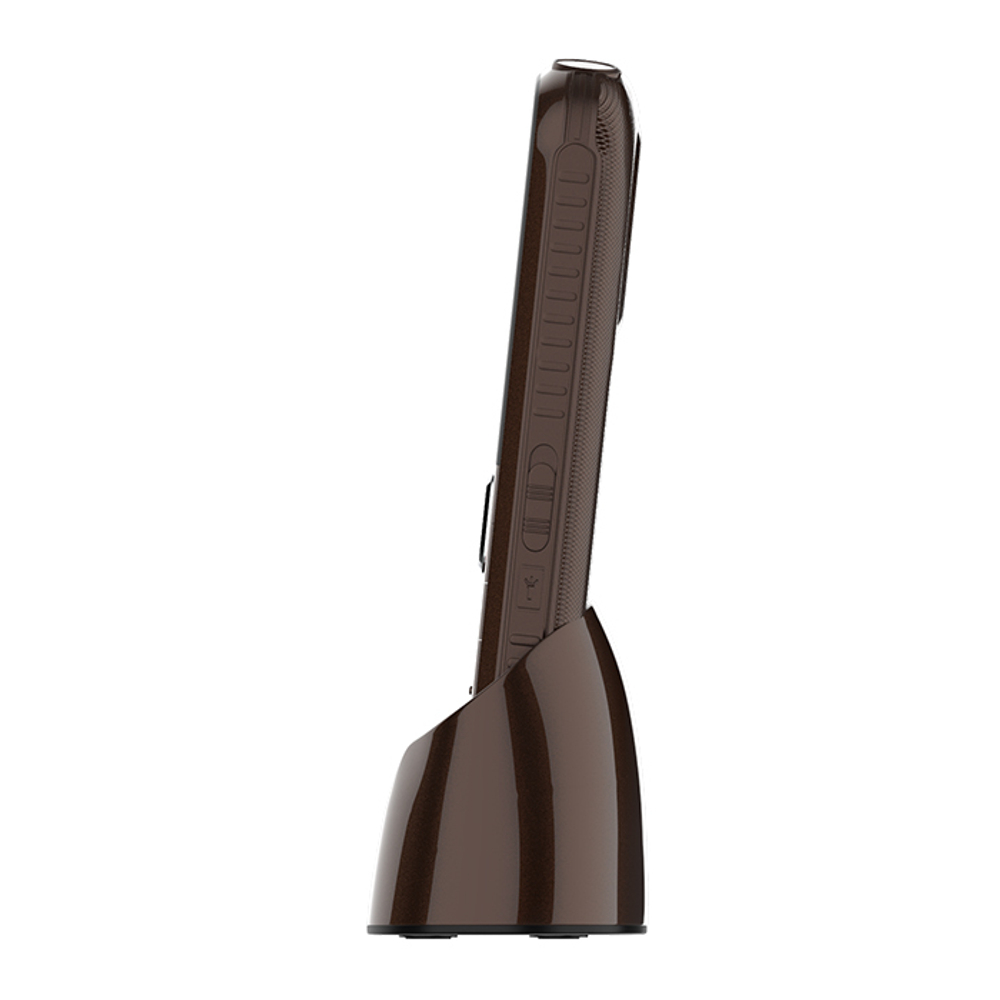 Сотовый телефон Maxvi B21ds Brown