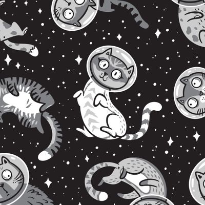 Черно-белые галактические коты