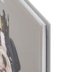 Дневник 5-11 класс 48 л., твердый, BRAUBERG, глянцевая ламинация, с подсказом, "Милый Пёс", 106402