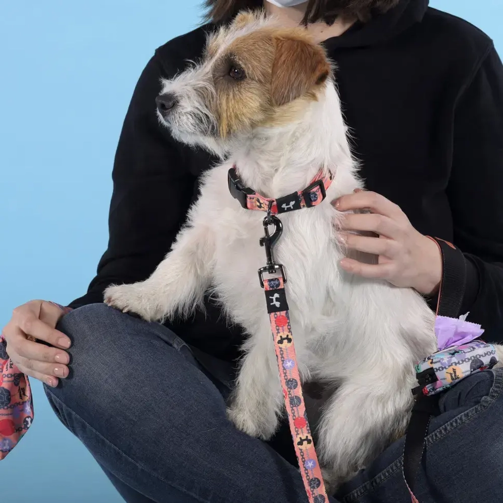 United pets complete me forever ошейник для собак, m 34-56/2 см, оранжевый с рисунком