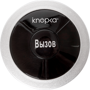 Кнопка вызова iKnopka APE310 серебристый