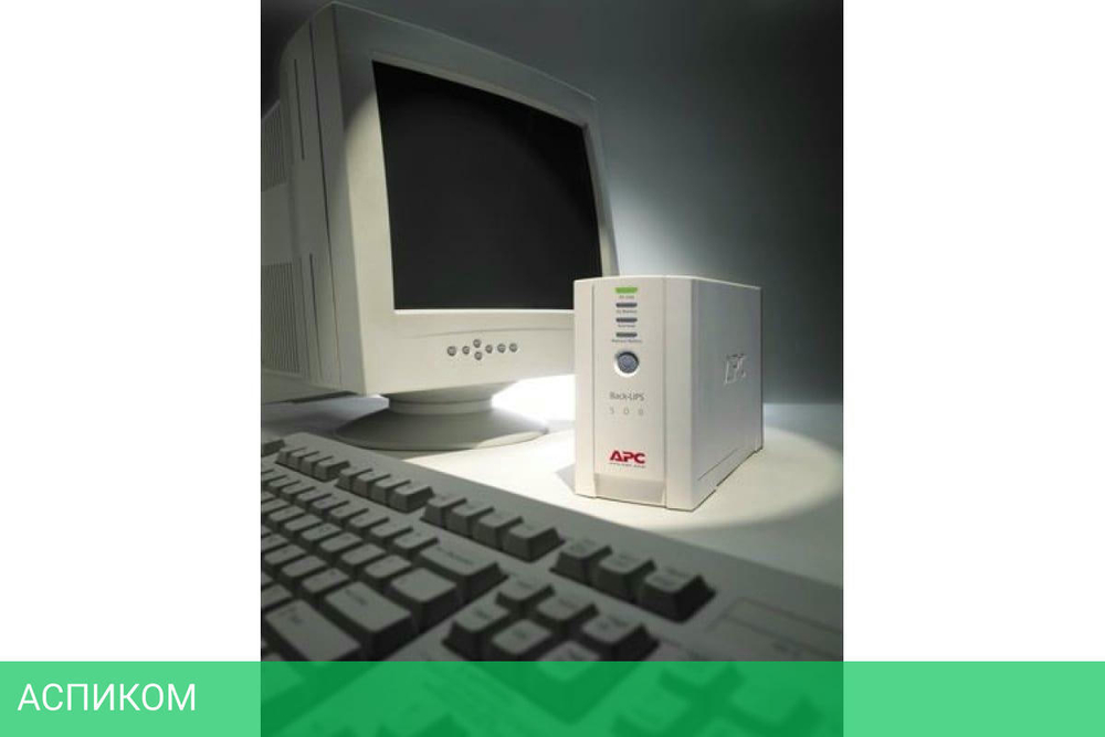 Источник бесперебойного питания APC BK500EI