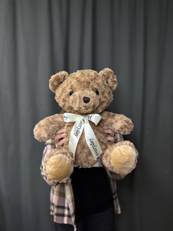 Медведь кофейного цвета