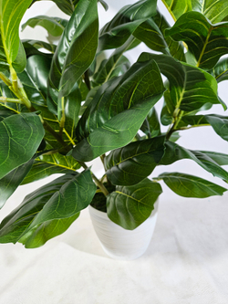 Искусственное растение Фикус Лирата зеленый в кашпо