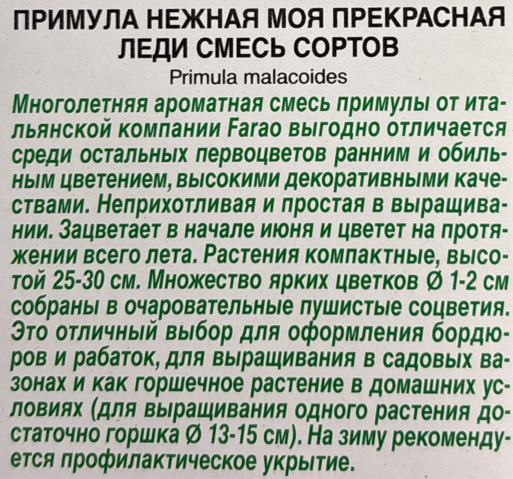 Примула Моя прекрасная леди смесь 7 шт СМЦ-368