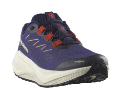 Кроссовки для бега мужские Salomon Aero Blaze 3 GRVL M Зеленовато-Фиолетовые