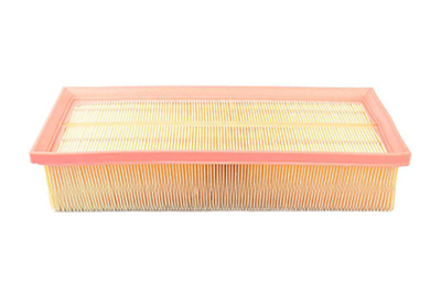 BSG - BSG90135011-BSG - Air Filter