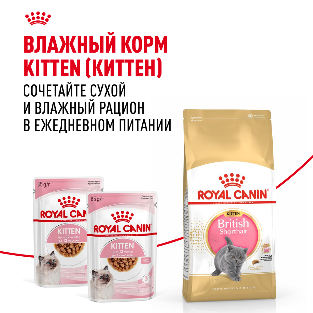 Royal Canin British Shorthair Kitten (БРИТАНСКАЯ КОРОТКОШЕРСТНАЯ КИТТЕН) Корм сухой сбалансированный для британских котят 400г