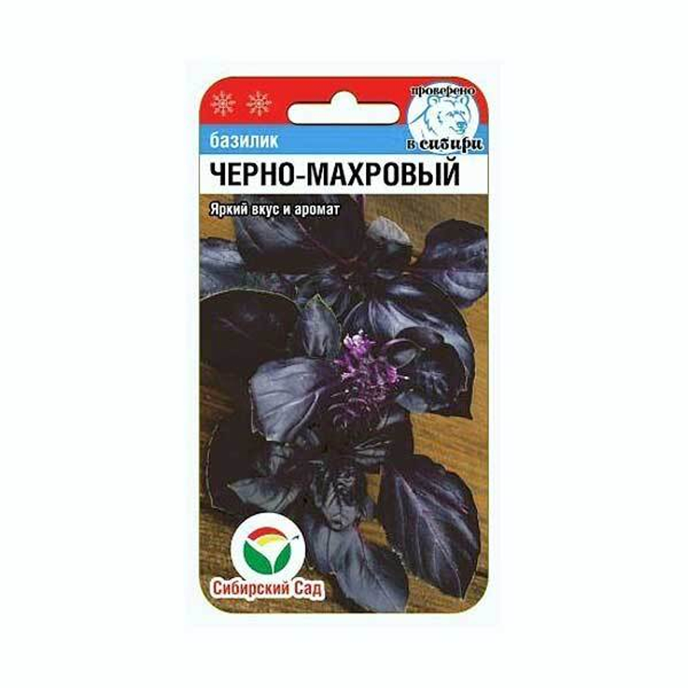 Базилик Черно-махровый СибСад Ц