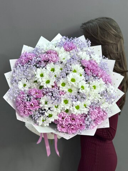 Букет из 19 кустовых хризантем и розовой гипсофилы