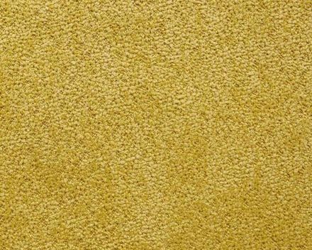 Коллекция Терри