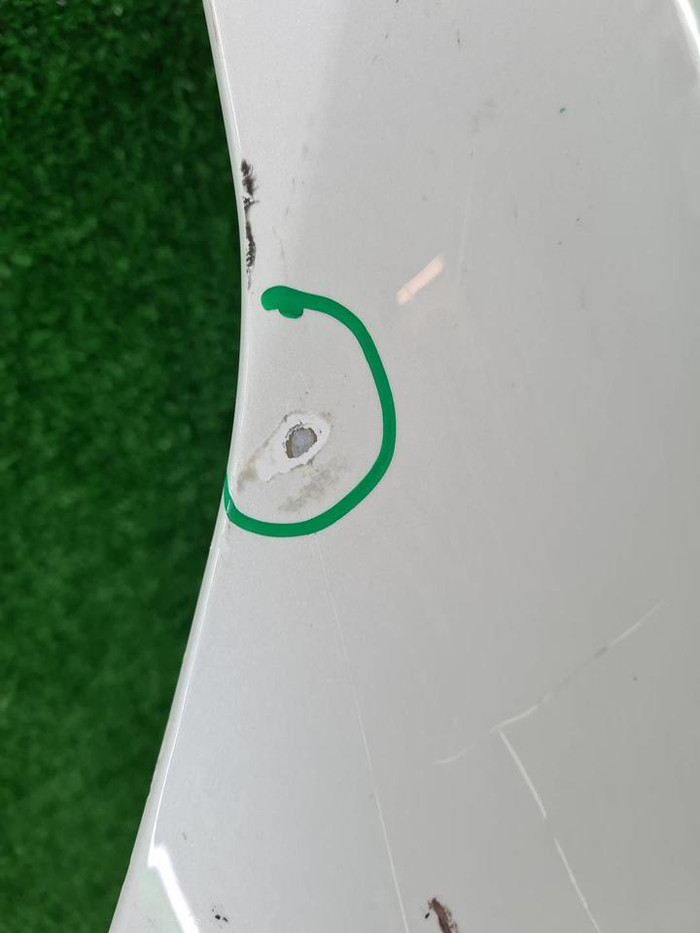 Капот Zeekr 001 (2021-н.в.)