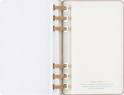 Еженедельник Moleskine SPIRAL (DHSPP2912MWH3) 130х210мм, цвет кофейный