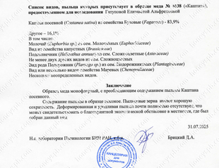 Каштан. Пыльцевой анализ 2025