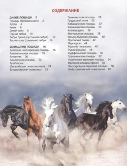 ЭНЦИКЛОПЕДИЯ ДЛЯ ДЕТЕЙ новые. ЛОШАДИ