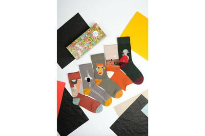 Носки Funfur Apex в наборе 5 пар