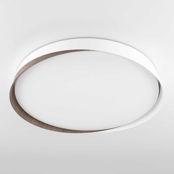 Потолочный светодиодный светильник Citilux Bonny CL754450G