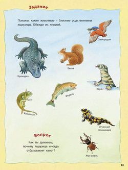 Кто живёт на опушке? Книжка-активити с развивающими заданиями, головоломками, наклейками. Фридерун Райхенштеттер