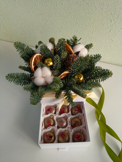 Шкатулка новогодняя  с нобилисом