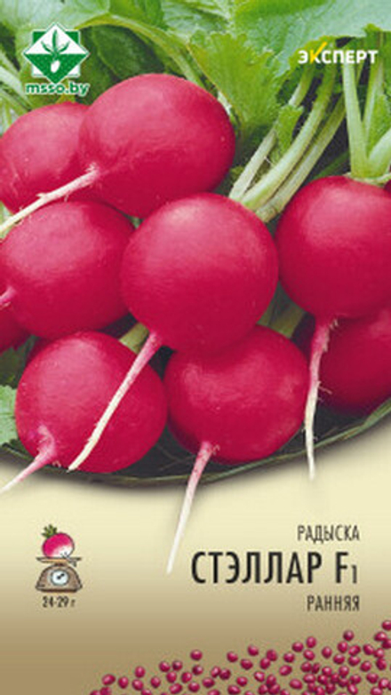 Редис "Стеллар F1" 1г, Нидерланды.