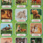 315691/Мамы и малыши. Плакат А2. Умка/1