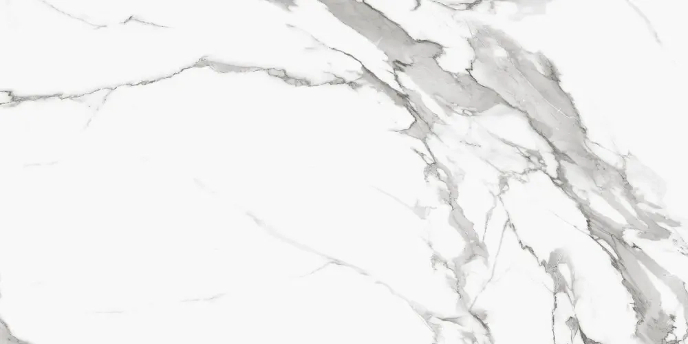 Керамогранит Royce Segesta Grey Matt 60x120 см (R_NR2002)