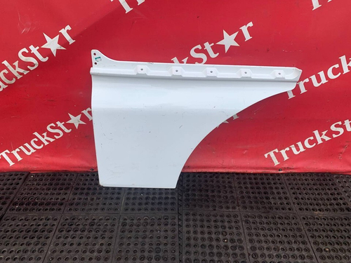 Продолжение (дефект) двери левой 2023г.