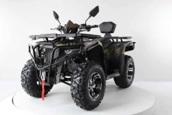 Квадроцикл Motax Grizlik 300
