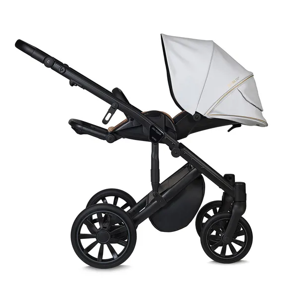 Коляска ANEX m/type 3 в 1 (mt-SE03) noble