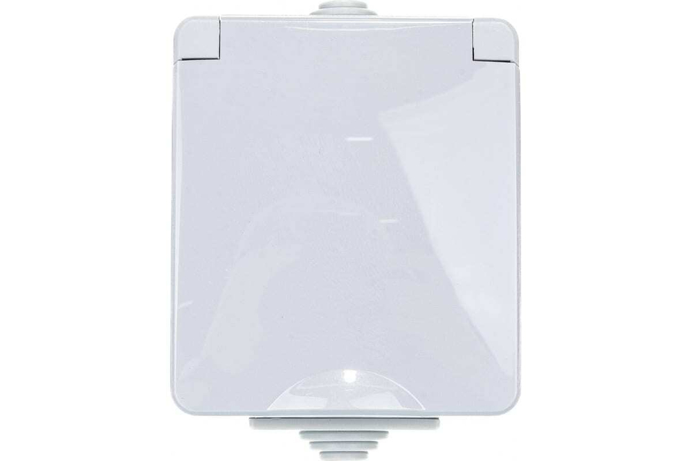 Розетка 1-местная накладная IP65, 16A-250В, серый Эксперт ЭРА